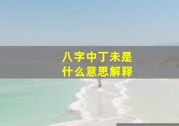 八字中丁未是什么意思解释