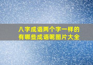 八字成语两个字一样的有哪些成语呢图片大全