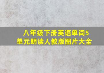 八年级下册英语单词5单元朗读人教版图片大全