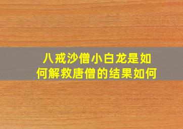 八戒沙僧小白龙是如何解救唐僧的结果如何