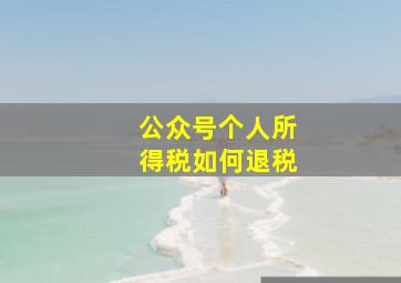 公众号个人所得税如何退税