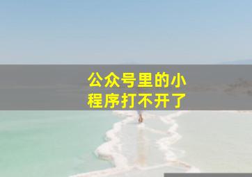 公众号里的小程序打不开了