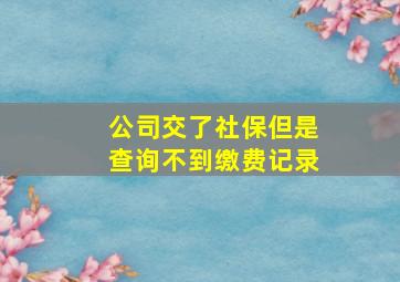 公司交了社保但是查询不到缴费记录