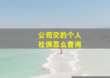 公司交的个人社保怎么查询