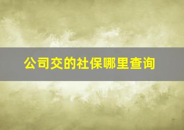 公司交的社保哪里查询