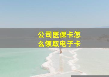 公司医保卡怎么领取电子卡