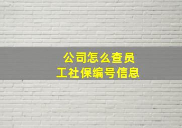 公司怎么查员工社保编号信息