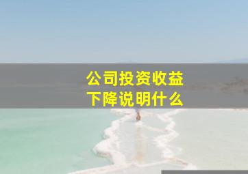 公司投资收益下降说明什么