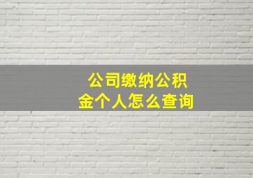 公司缴纳公积金个人怎么查询