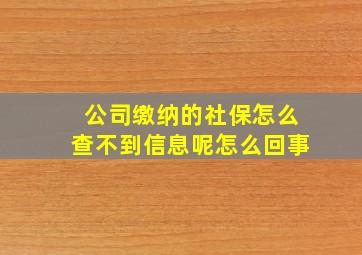 公司缴纳的社保怎么查不到信息呢怎么回事