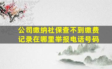 公司缴纳社保查不到缴费记录在哪里举报电话号码