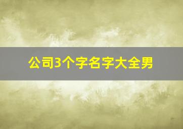 公司3个字名字大全男