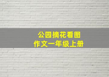 公园摘花看图作文一年级上册