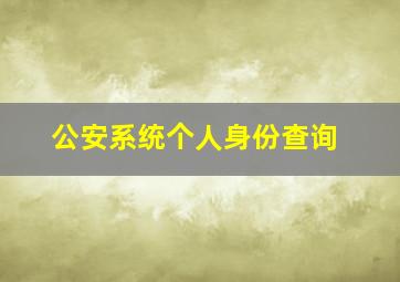 公安系统个人身份查询