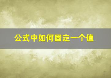 公式中如何固定一个值