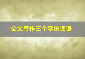 公文写作三个字的词语