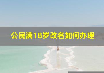 公民满18岁改名如何办理