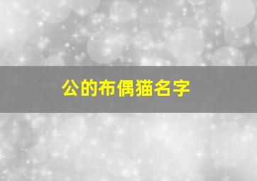 公的布偶猫名字