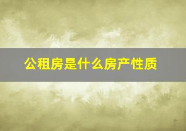 公租房是什么房产性质