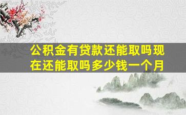 公积金有贷款还能取吗现在还能取吗多少钱一个月