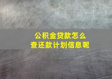 公积金贷款怎么查还款计划信息呢