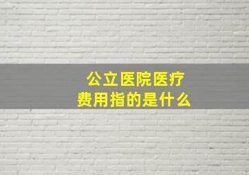 公立医院医疗费用指的是什么