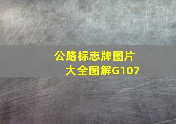 公路标志牌图片大全图解G107