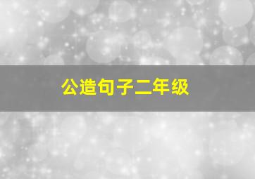 公造句子二年级