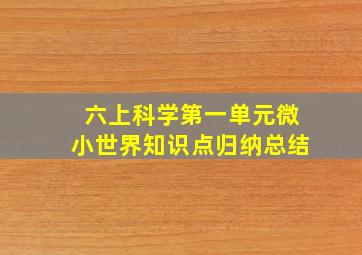 六上科学第一单元微小世界知识点归纳总结