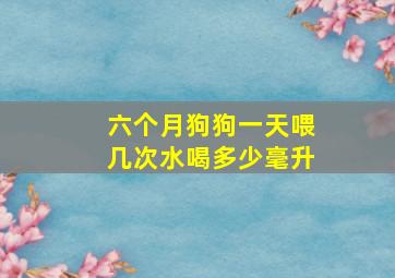 六个月狗狗一天喂几次水喝多少毫升