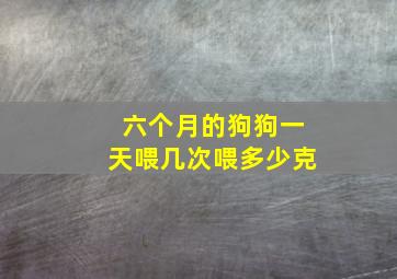 六个月的狗狗一天喂几次喂多少克