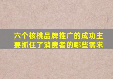 六个核桃品牌推广的成功主要抓住了消费者的哪些需求