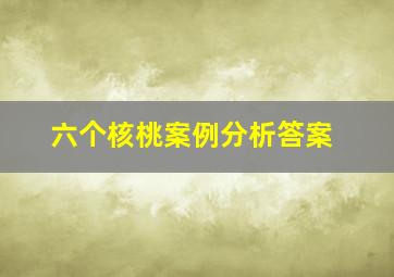 六个核桃案例分析答案