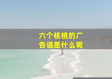 六个核桃的广告语是什么呢