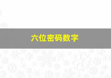 六位密码数字