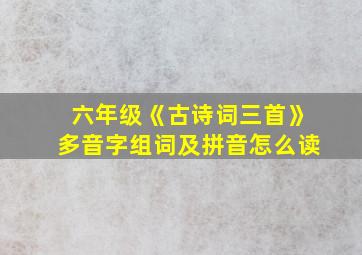 六年级《古诗词三首》多音字组词及拼音怎么读