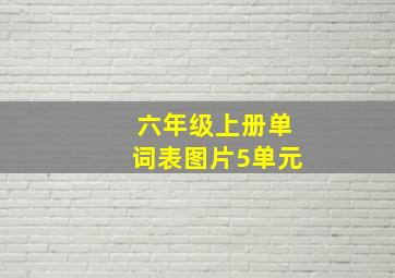 六年级上册单词表图片5单元