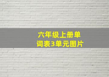 六年级上册单词表3单元图片