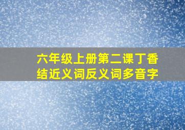 六年级上册第二课丁香结近义词反义词多音字