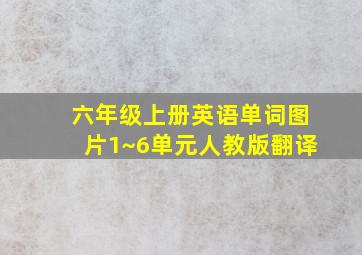 六年级上册英语单词图片1~6单元人教版翻译