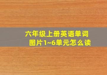 六年级上册英语单词图片1~6单元怎么读