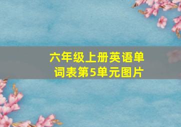 六年级上册英语单词表第5单元图片