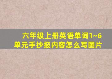 六年级上册英语单词1~6单元手抄报内容怎么写图片