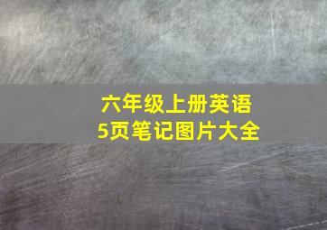 六年级上册英语5页笔记图片大全