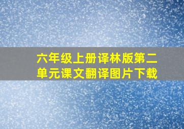 六年级上册译林版第二单元课文翻译图片下载