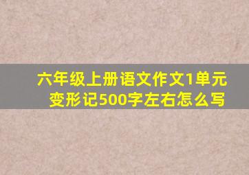 六年级上册语文作文1单元变形记500字左右怎么写