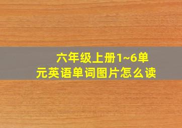 六年级上册1~6单元英语单词图片怎么读