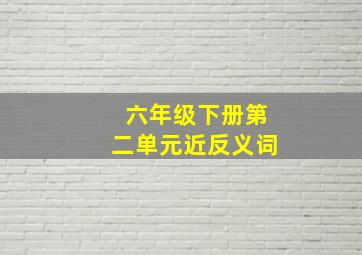 六年级下册第二单元近反义词