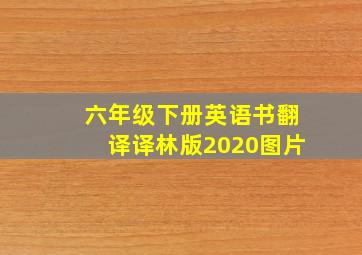 六年级下册英语书翻译译林版2020图片