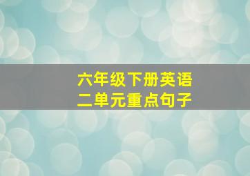 六年级下册英语二单元重点句子